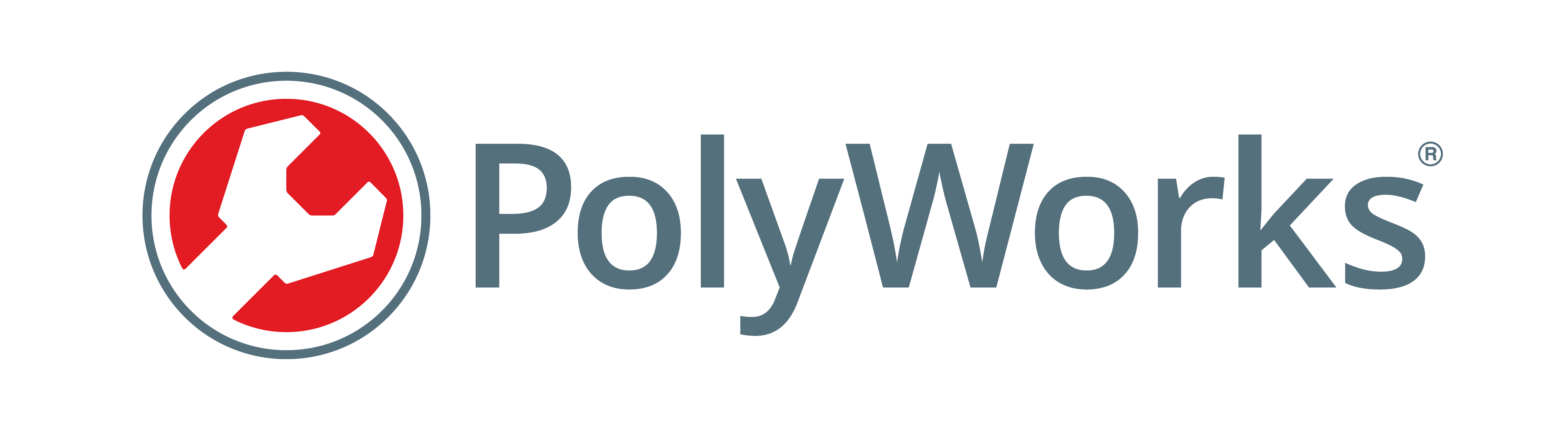 Logiciel Polyworks